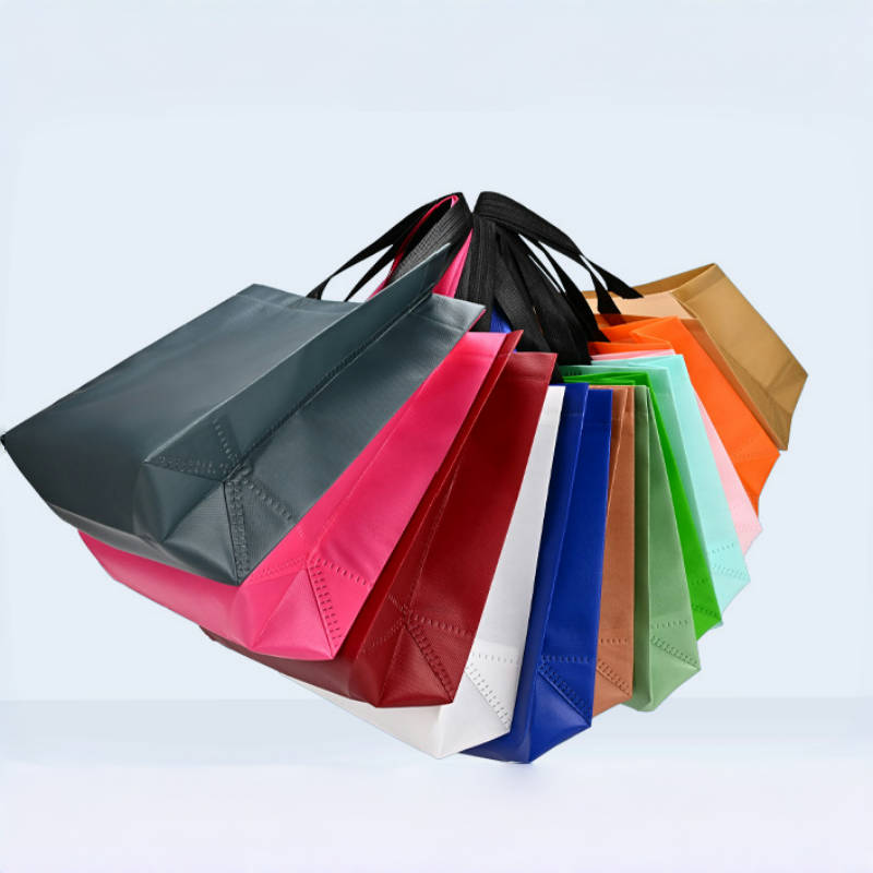 Sac de courses pliable pour fe - Women Bags For Eid avis et prix